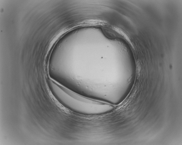 X0000070881091200607150140