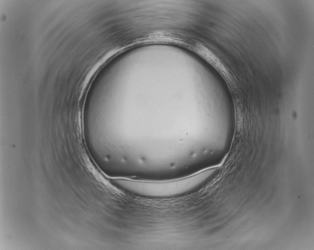 X0000070881092200607150140