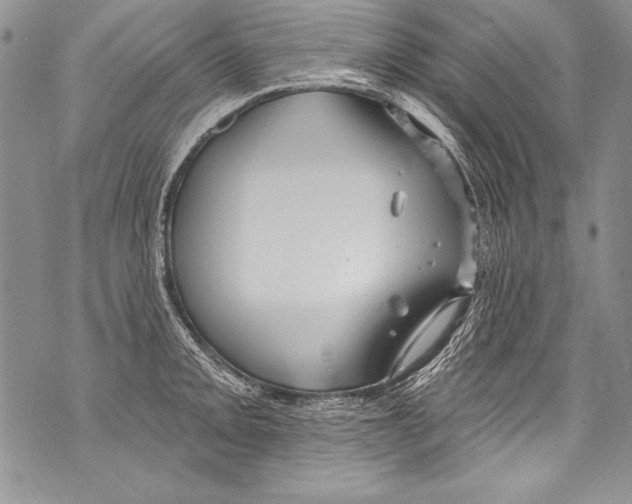 X0000070881093200607150140