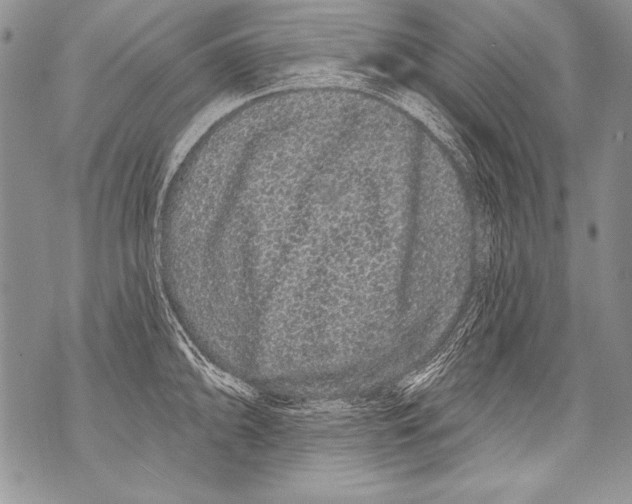 X0000070881094200607150140