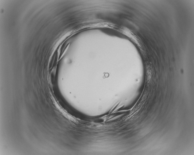 X0000070881095200607150140