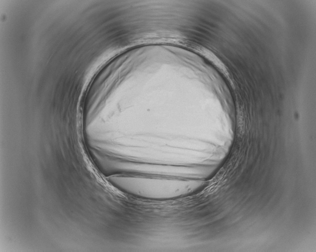 X0000070881096200607150140