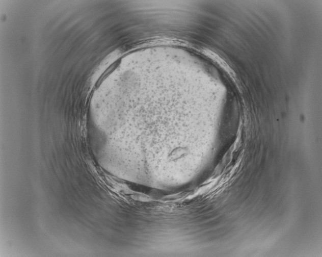 X0000070881097200607150140