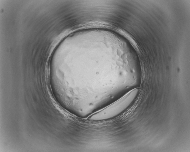 X0000070881099200607150140