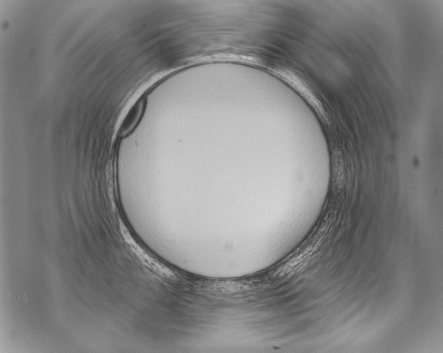 X0000070881100200607150140