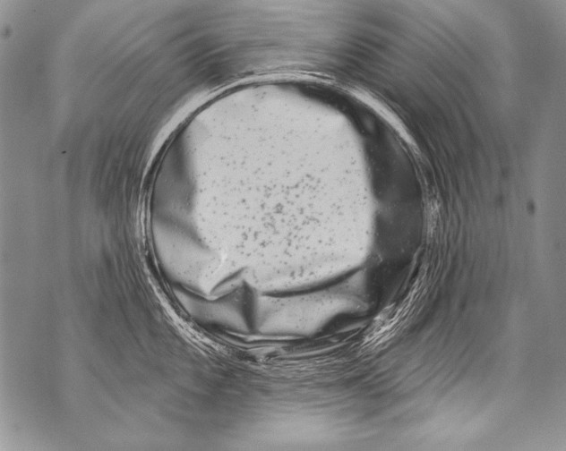 X0000070881101200607150140