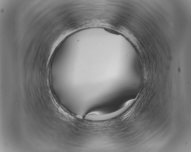 X0000070881102200607150140