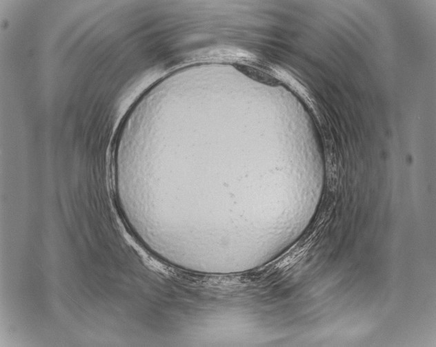 X0000070881103200607150140