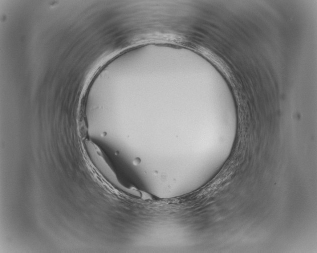 X0000070881104200607150140