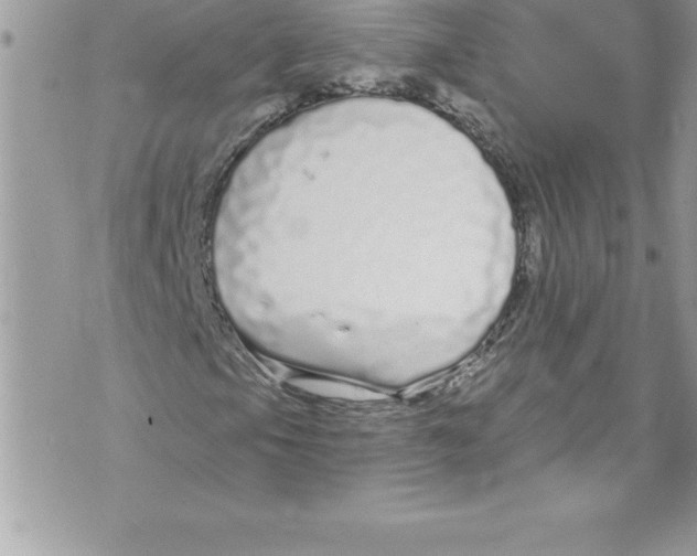 X0000070881105200607150139