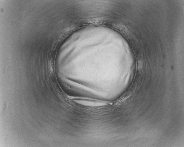 X0000070881106200607150139