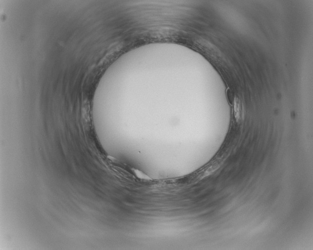 X0000070881107200607150139