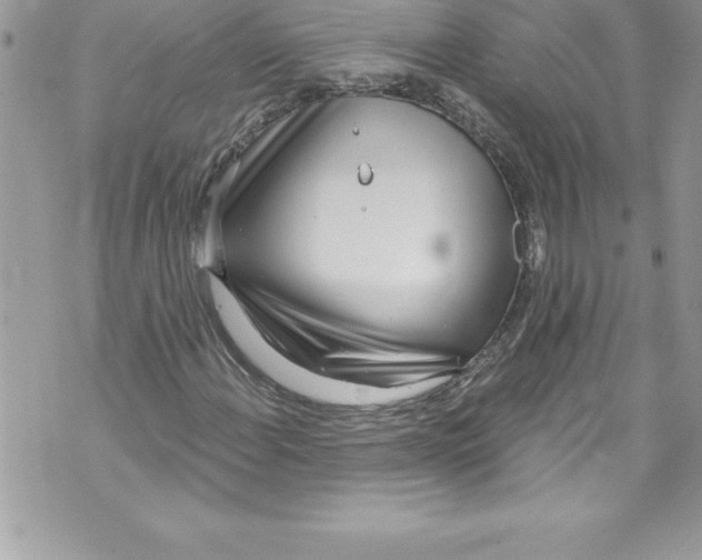 X0000070881108200607150139