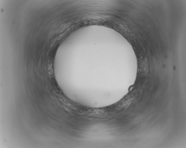 X0000070881109200607150139