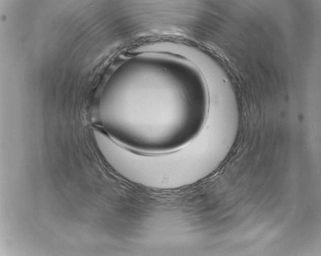 X0000070881110200607150139