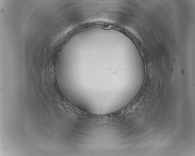 X0000070881111200607150139