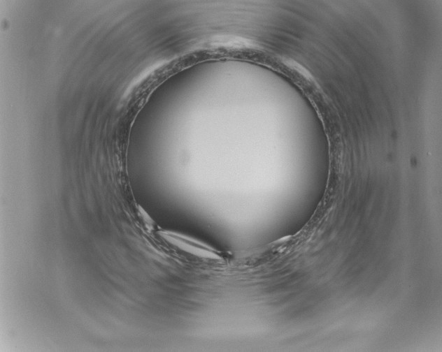 X0000070881112200607150139