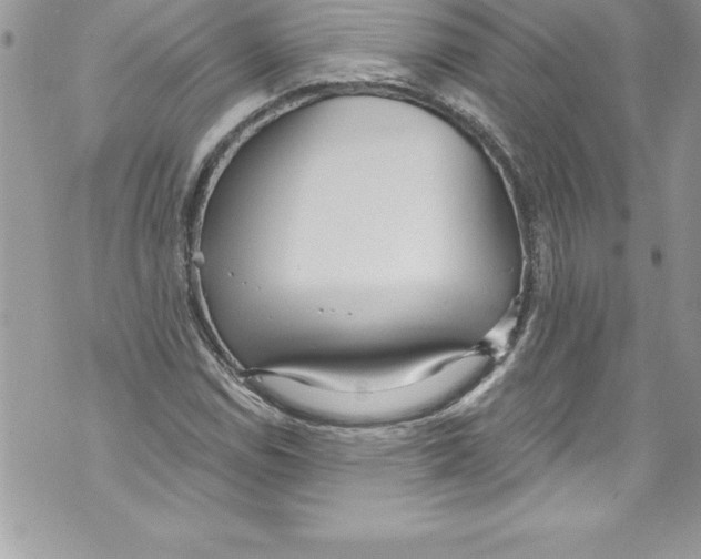 X0000070881114200607150139