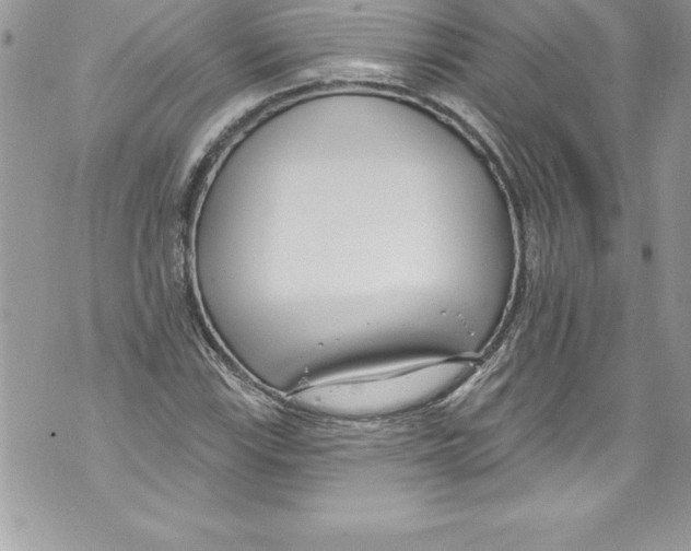 X0000070881115200607150139