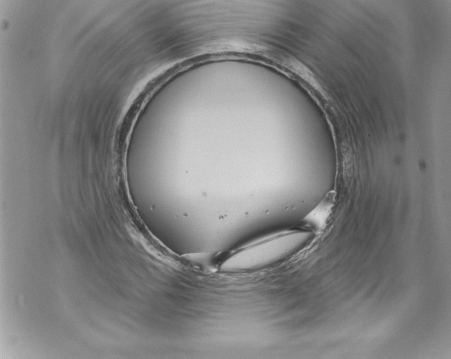 X0000070881116200607150139