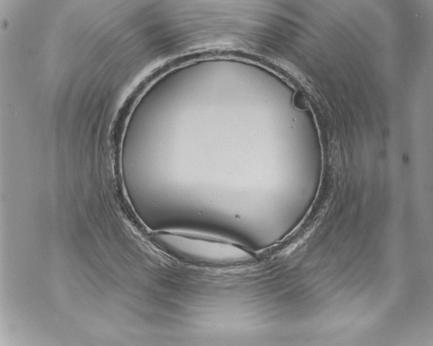 X0000070881118200607150139