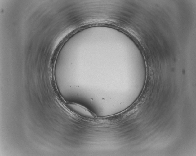 X0000070881119200607150139