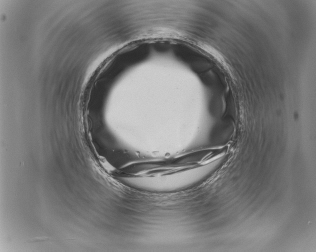 X0000070881120200607150139