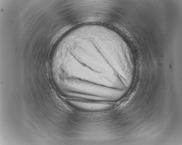 X0000070881121200607150139