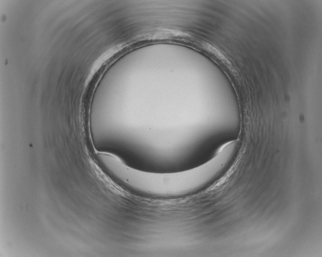 X0000070881122200607150139