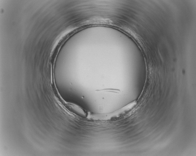 X0000070881123200607150139