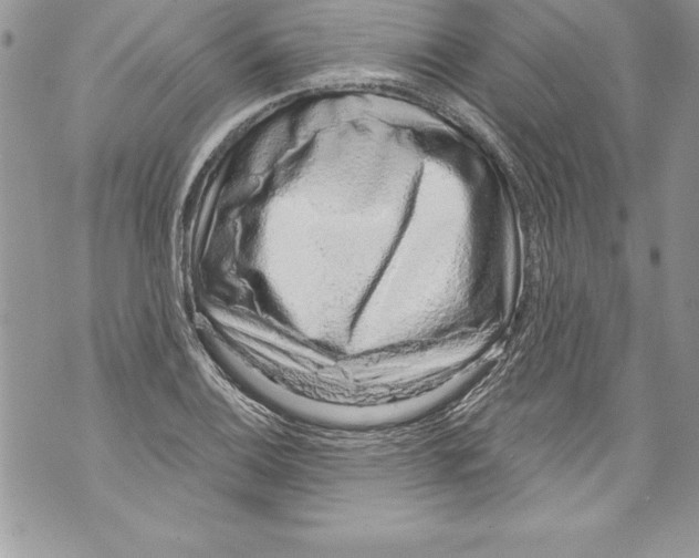 X0000070881124200607150139