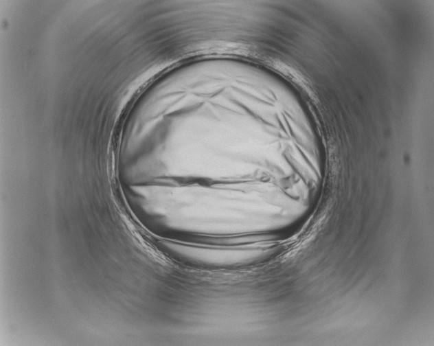 X0000070881125200607150139