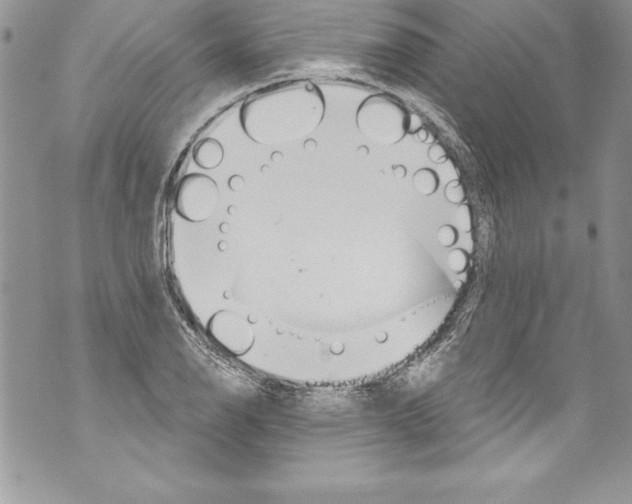 X0000070881126200607150139