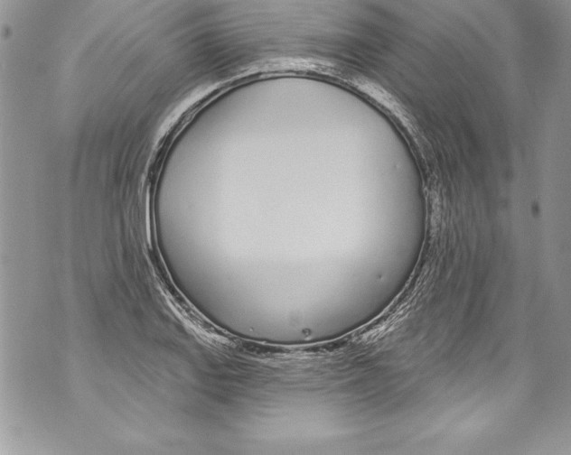 X0000070881127200607150139