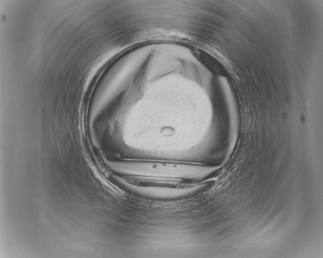 X0000070881128200607150139