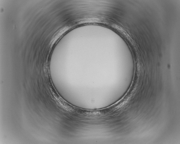 X0000070881129200607150139