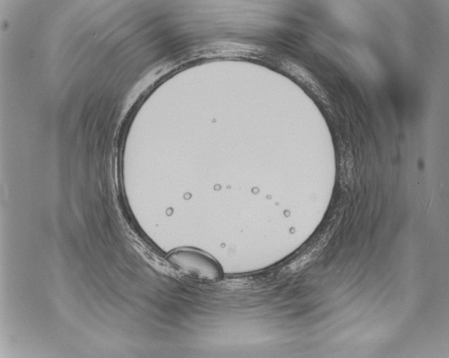 X0000070881130200607150139