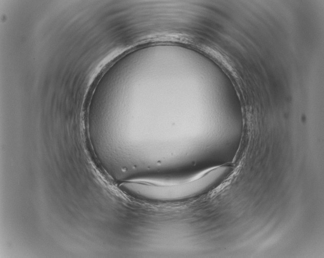 X0000070881133200607150140