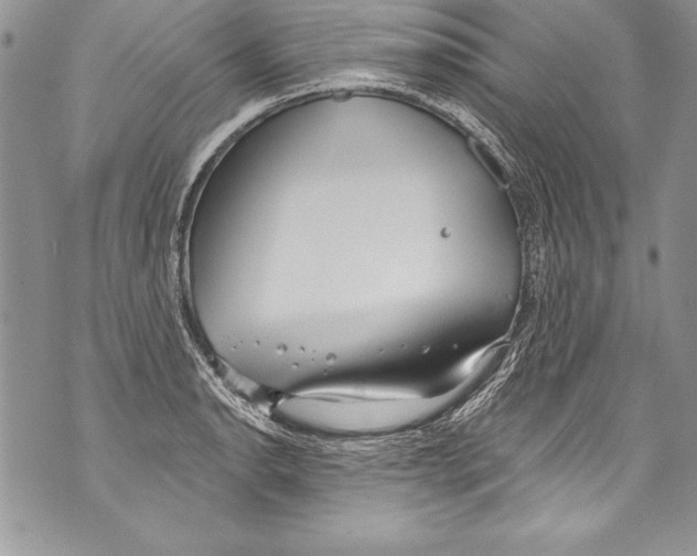 X0000070881134200607150140