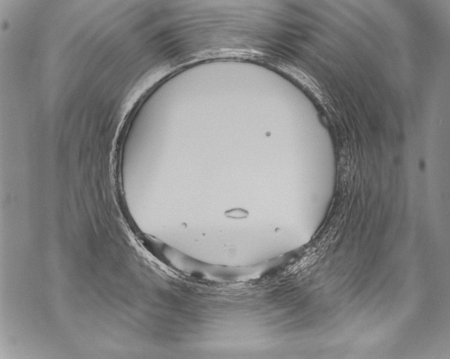 X0000070881135200607150140