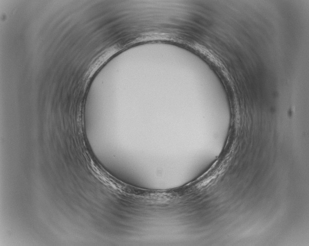 X0000070881137200607150140