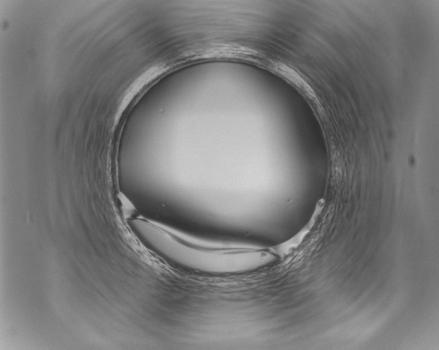 X0000070881138200607150140