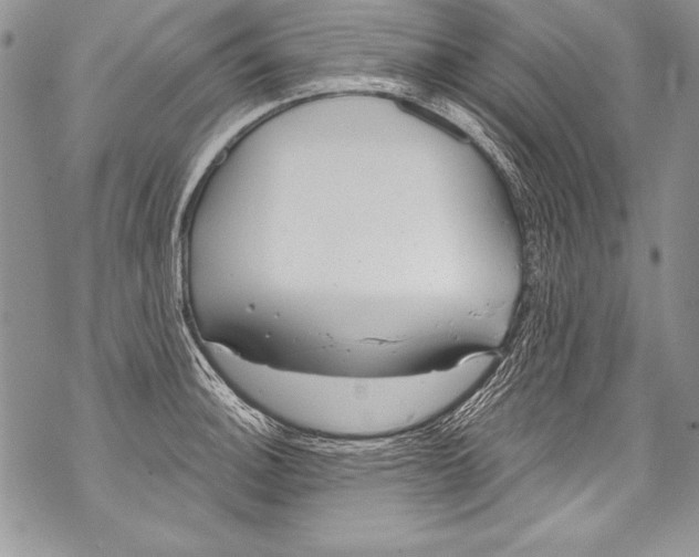 X0000070881140200607150140