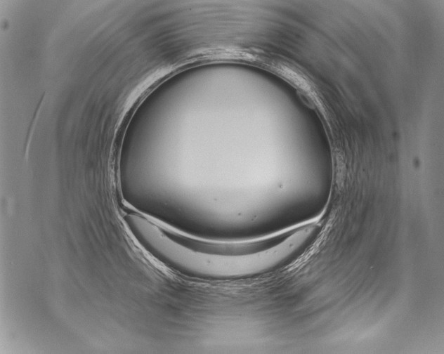 X0000070881141200607150140