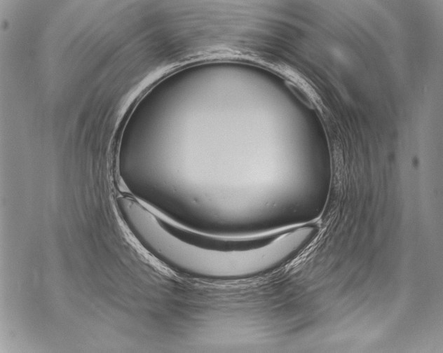 X0000070881142200607150140