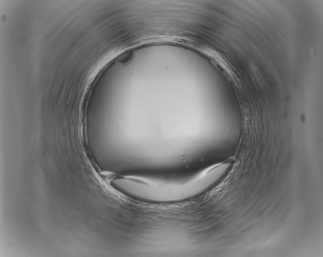 X0000070881143200607150140