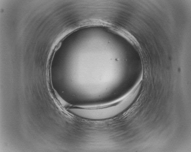 X0000070881144200607150140