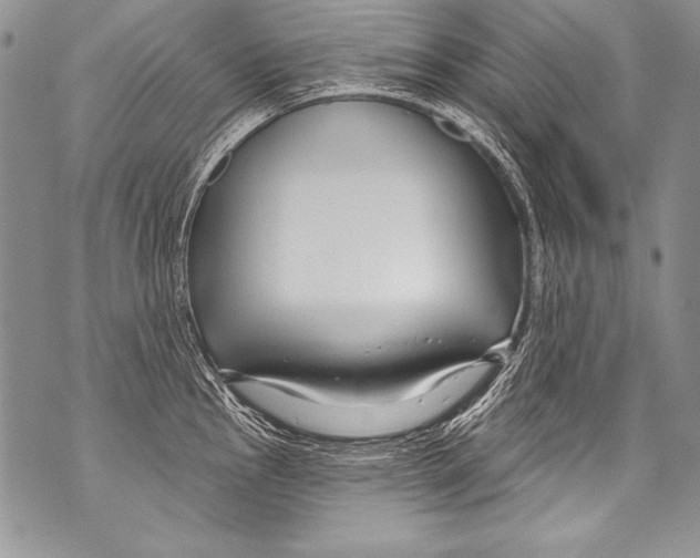 X0000070881145200607150140