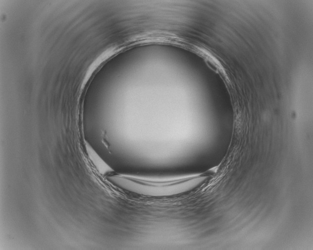 X0000070881146200607150140