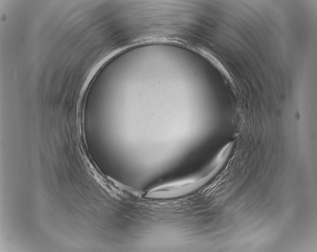 X0000070881148200607150140